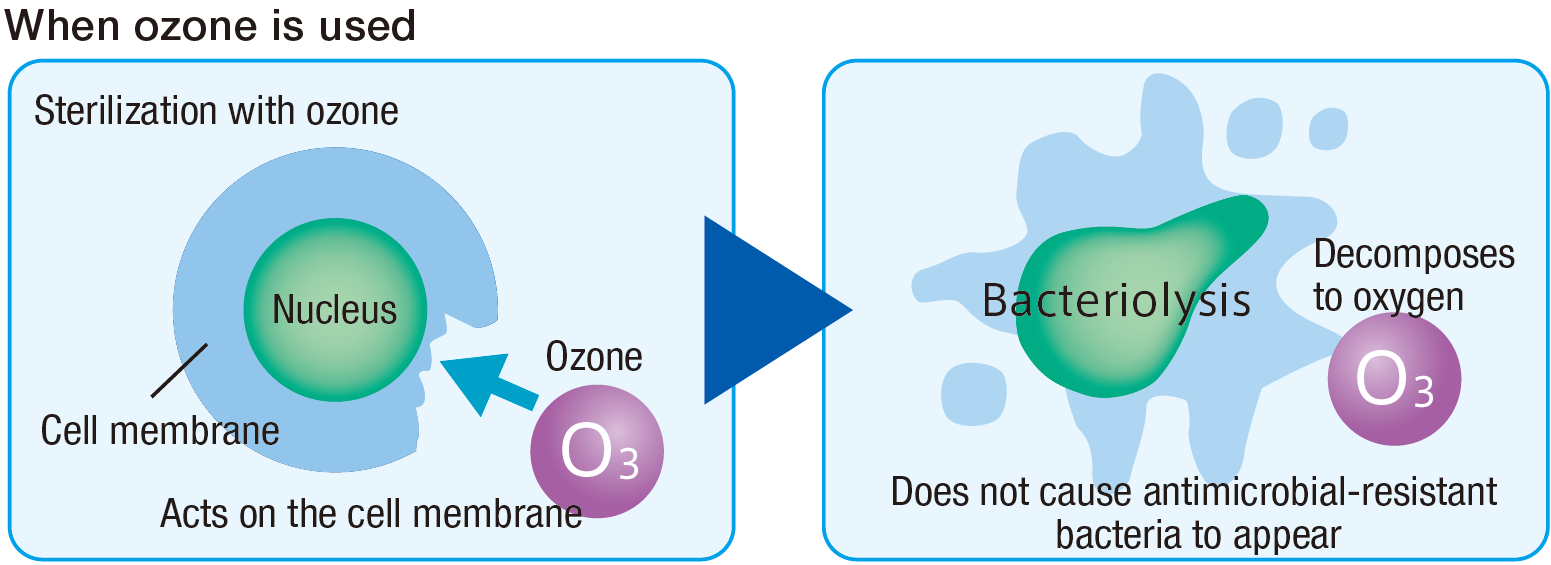 ozone-2
