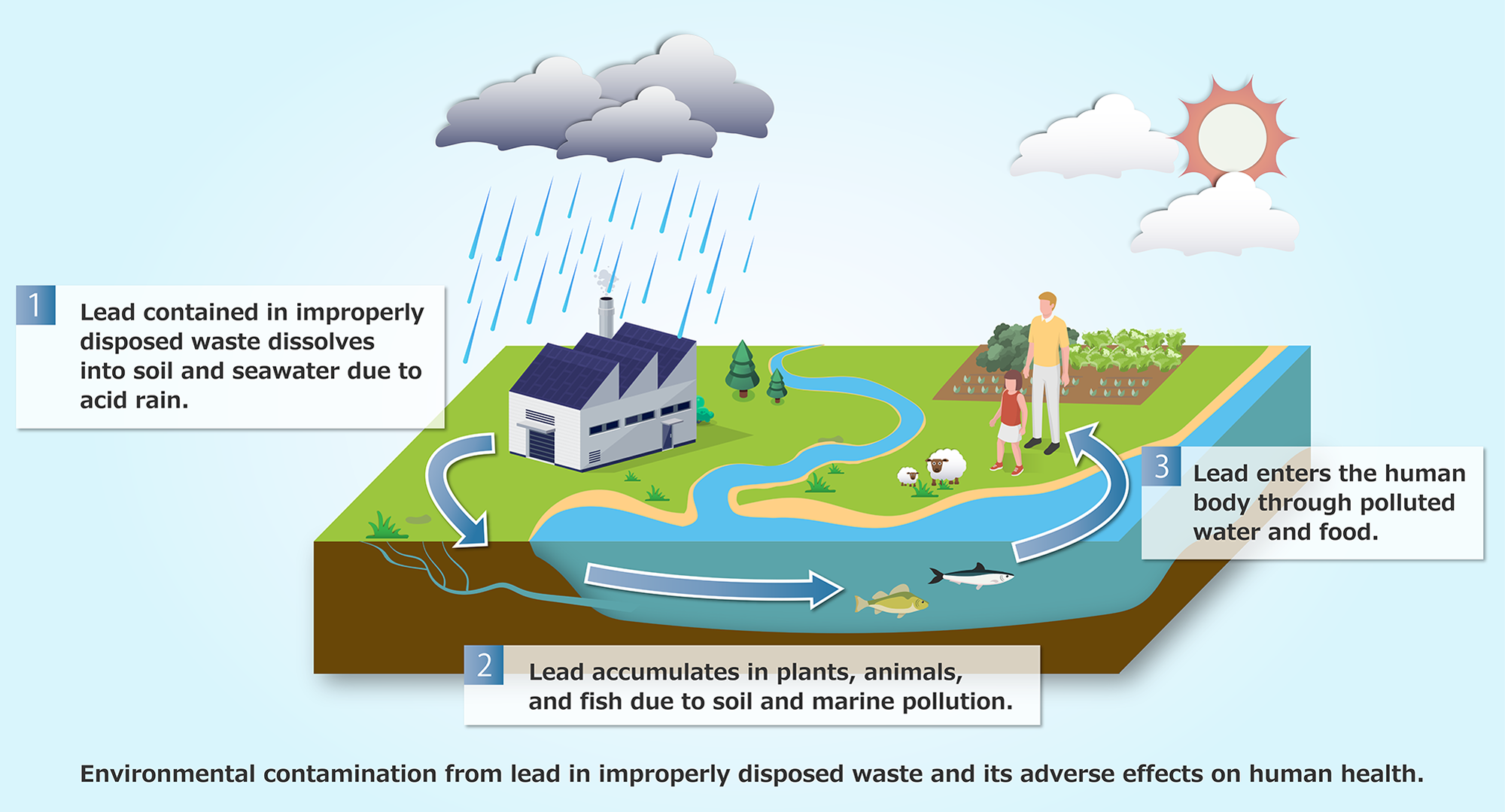 Environmental contamination from lead in improperly disposed waste and its adverse effects on human health.