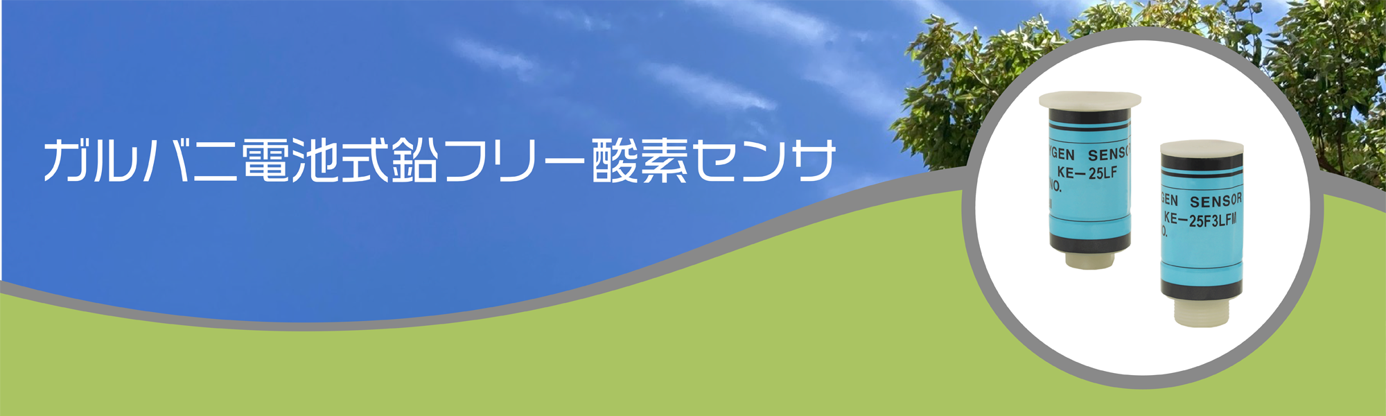 ガルバニ電池式鉛フリー酸素センサ　O2センサ